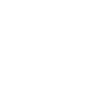 Solution Icon